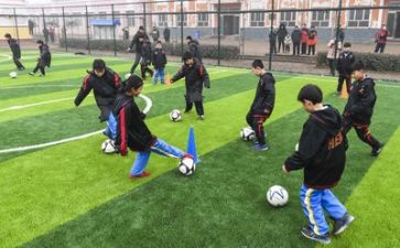 学习报效祖国的演讲稿6篇