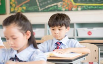 关于学习的作文优质8篇