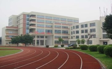 学校年度工作总结2024总结精选7篇