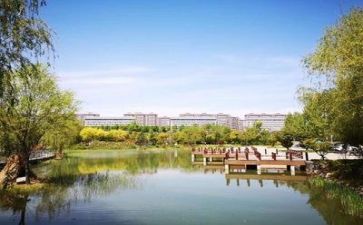 学校2024工作总结最新8篇