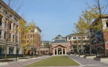 学校2024年度工作总结优质7篇