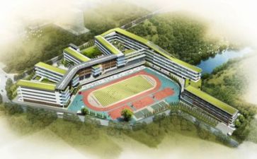 学校个人总结模板推荐5篇