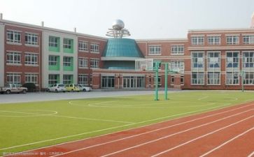 学校财务科工作总结参考8篇
