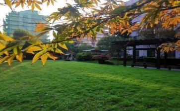 学校2024年度工作总结最新8篇