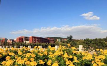 学校年度工作计划5篇