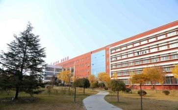 学校食堂月工作总结8篇