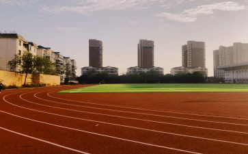 学校体育老师个人总结模板6篇
