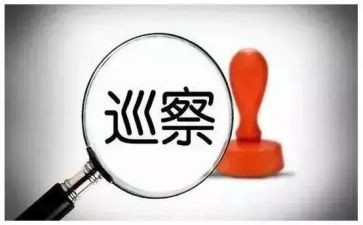 巡察支部工作汇报材料6篇