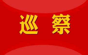 巡察干部巡察个人总结6篇