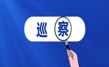党支部巡察汇报材料6篇