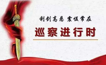 巡察个人述职述廉报告8篇