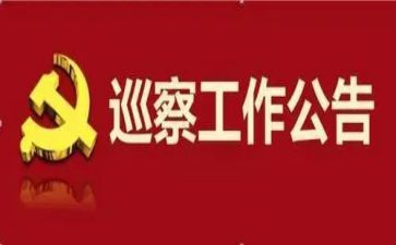 巡察组组长述职报告8篇