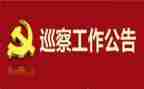 巡察组组长述职报告8篇