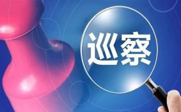 学习巡视工作条例心得体会6篇