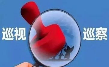 被巡视工作总结8篇