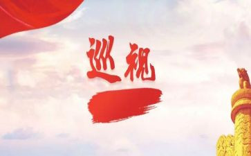 个人巡视工作总结7篇