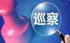学习巡视工作条例心得体会6篇
