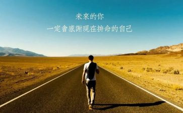 续聘任申请书8篇