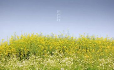 班级叙事作文精选5篇