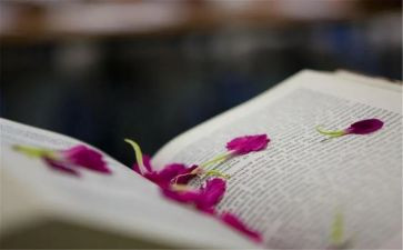 有关叙事类的作文优质5篇