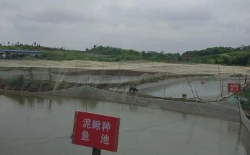 养殖承包合同5篇