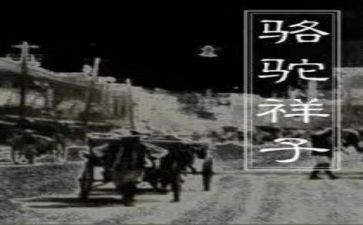 青春的样子作文5篇