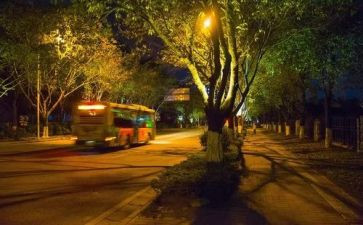 夜莺教学反思优质8篇