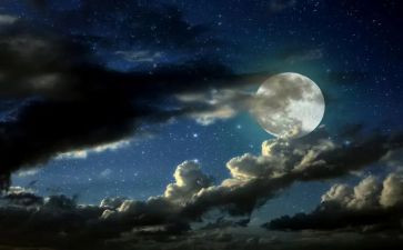 《白夜行》的读后感8篇