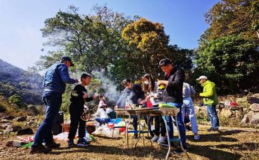 小学生学野炊作文8篇