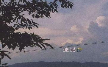 写遗憾的作文精选8篇