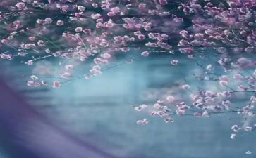 2024一季度工作总结5篇