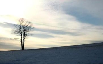 依靠作文推荐6篇