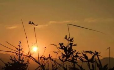 依靠作文800字6篇