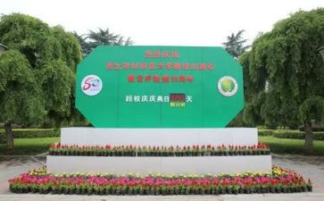 迎校庆活动策划6篇