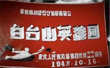 《小英雄》读后感6篇