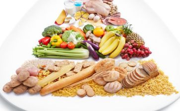 饮食文化心得7篇