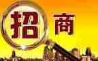 招商引资工作汇报材料5篇