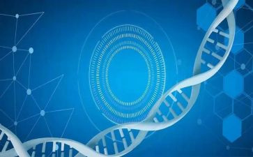 医学生工作总结范文模板8篇