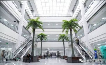 医院院个人述职报告5篇