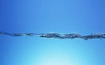 关节约用水的作文7篇