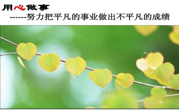 小学信息技术应用心得体会优秀7篇
