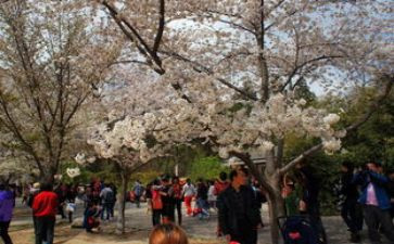 六一活动游园活动方案参考7篇