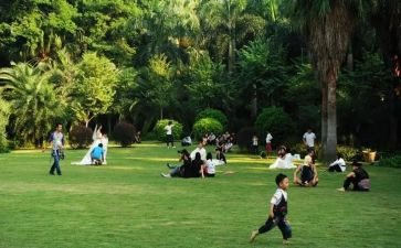 小学游园活动方案通用6篇