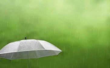 小英雄雨来事迹参考5篇