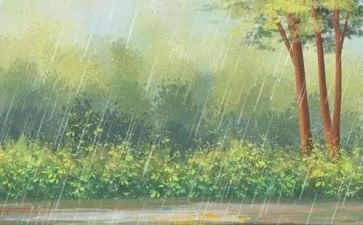 描写雨的作文600字优质5篇
