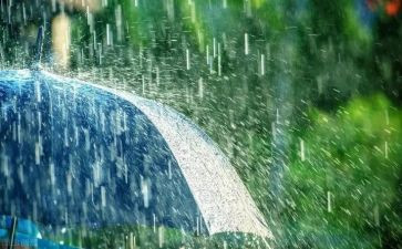 关于《雨》的作文推荐5篇
