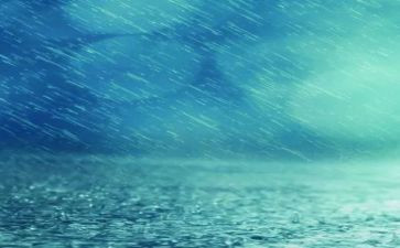 关于雨的作文800字8篇