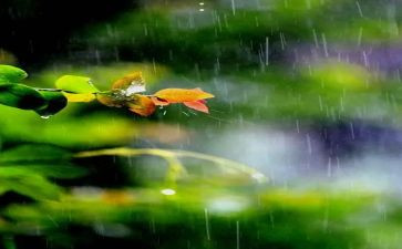幼儿园下雨天教案7篇
