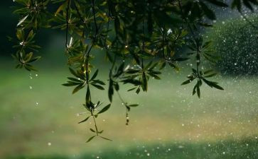 幼儿园小班《小雨点》教案6篇
