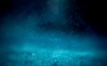 小英雄雨来事迹300字7篇
